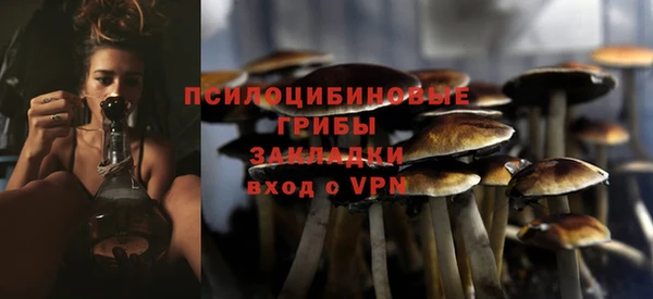 метадон Абаза