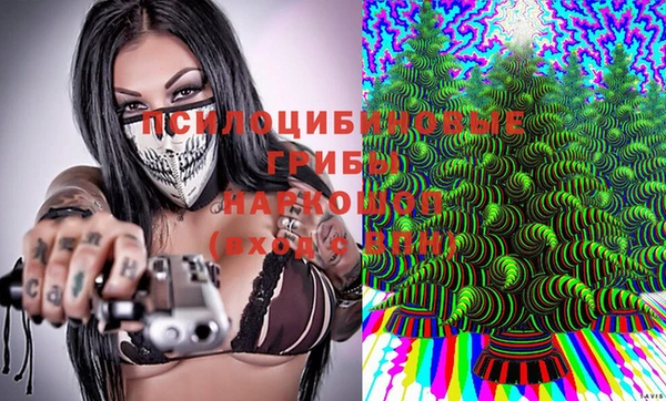 дурь Абинск
